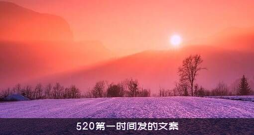 520第一时间发的文案