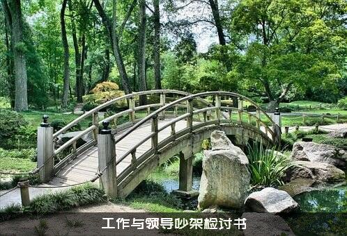 工作与领导吵架检讨书