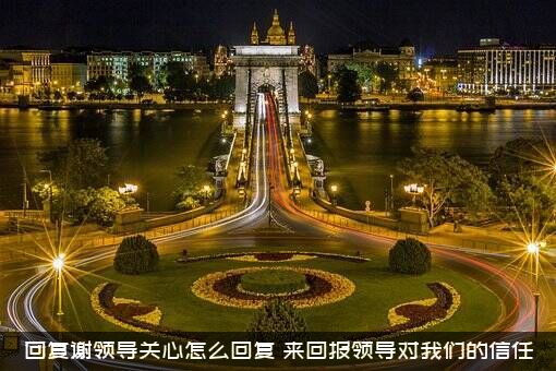 回复谢领导关心怎么回复？来回报领导对我们的信任