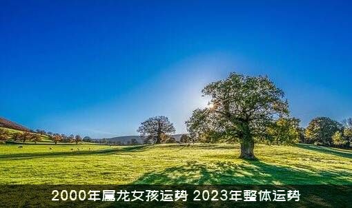 2000年属龙女孩运势（2023年整体运势）