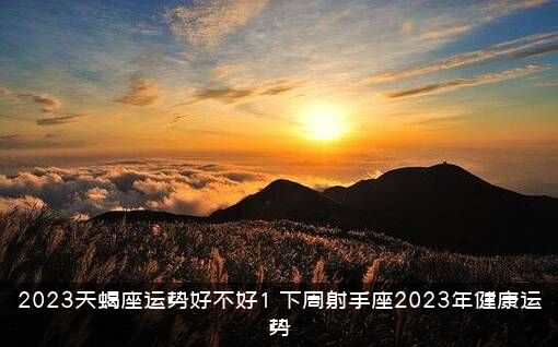 2023天蝎座运势好不好1？下周射手座2023年健康运势