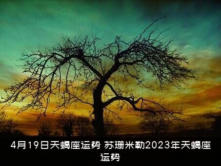 4月19日天蝎座运势（苏珊米勒2023年天蝎座运势）