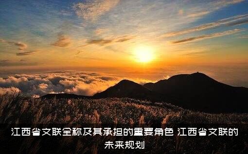 江西省文联全称及其承担的重要角色，江西省文联的未来规划