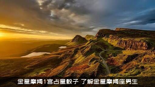 金星摩羯1宫占星骰子（了解金星摩羯座男生）