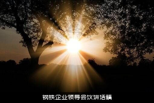 钢铁企业领导会议讲话稿
