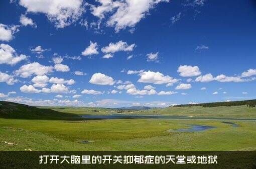 打开大脑里的开关抑郁症的天堂或地狱