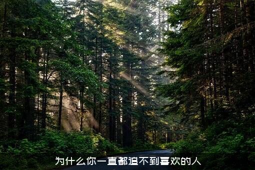 为什么你一直都追不到喜欢的人？