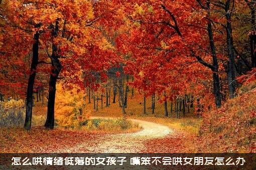 怎么哄情绪低落的女孩子？嘴笨不会哄女朋友怎么办？