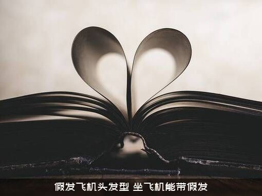假发飞机头发型（坐飞机能带假发）