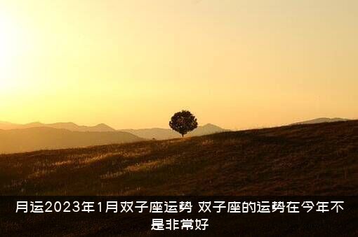 月运2023年1月双子座运势（双子座的运势在今年不是非常好）
