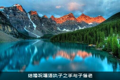 结婚祝福语执子之手与子偕老
