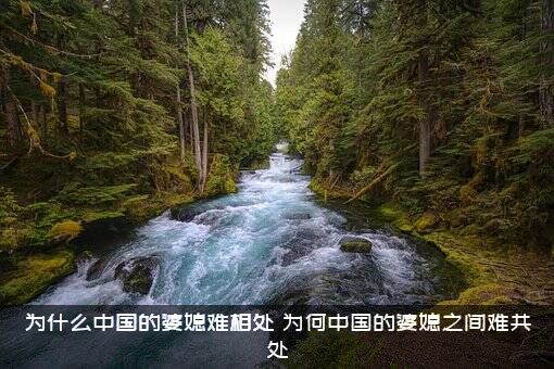为什么中国的婆媳难相处？为何中国的婆媳之间难共处