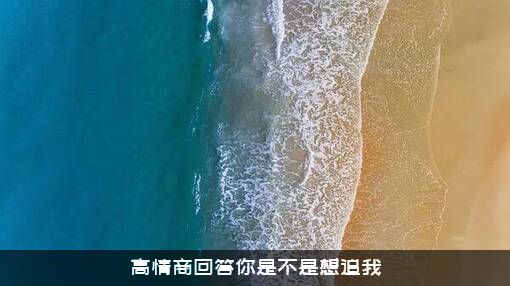 高情商回答你是不是想追我？