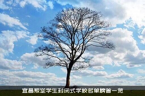 宜昌叛逆学生封闭式学校名单榜首一览