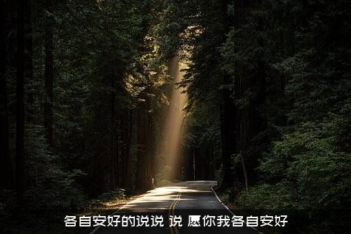 各自安好的说说（说，愿你我各自安好）