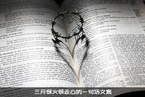 三月很火很走心的一句话文案