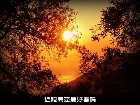 近距离恋爱好看吗？