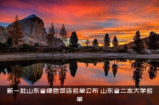 新一批山东省绿色饭店名单公布，山东省二本大学名单