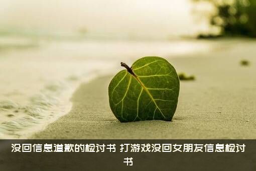 没回信息道歉的检讨书（打游戏没回女朋友信息检讨书）