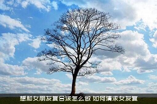 想和女朋友复合该怎么做？如何请求女友复？