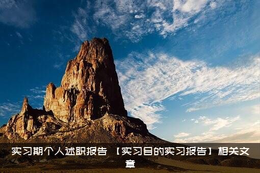 实习期个人述职报告（【实习目的实习报告】相关文章）