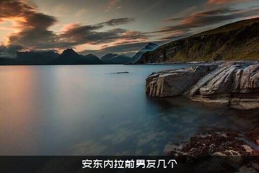 安东内拉前男友几个？