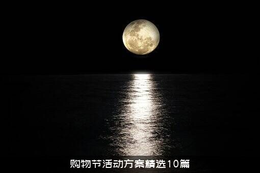 购物节活动方案精选10篇