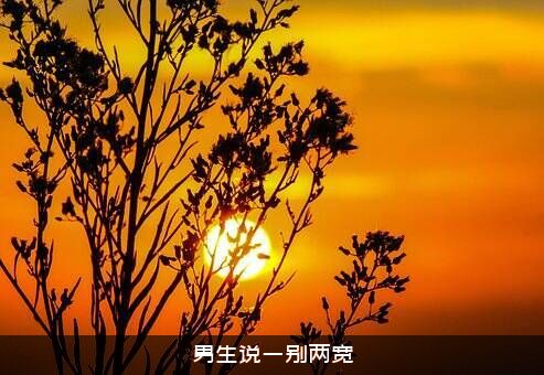 男生说一别两宽