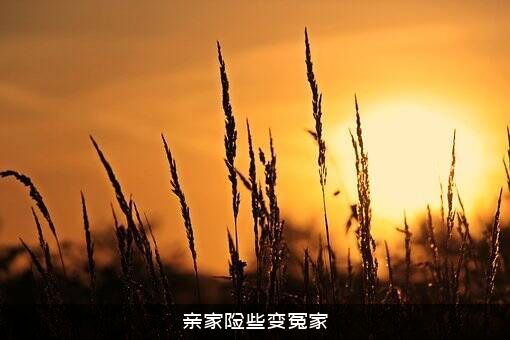 亲家险些变冤家