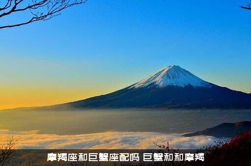摩羯座和巨蟹座配吗（巨蟹和和摩羯）