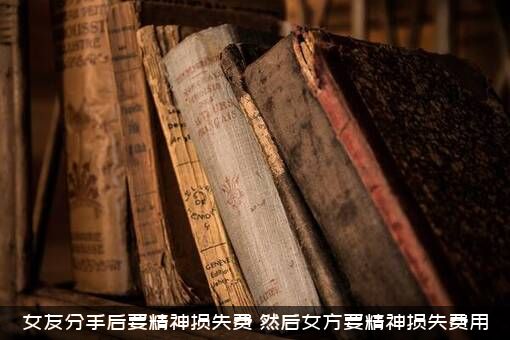 女友分手后要精神损失费（然后女方要精神损失费用）