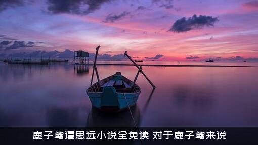 鹿子鸢谭思远小说全免读（对于鹿子鸢来说）