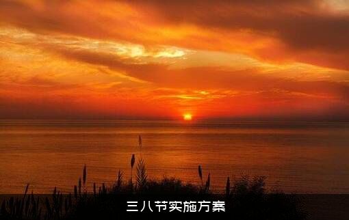 三八节实施方案