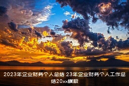 2023年企业财务个人总结（23年企业财务个人工作总结20xx模板）