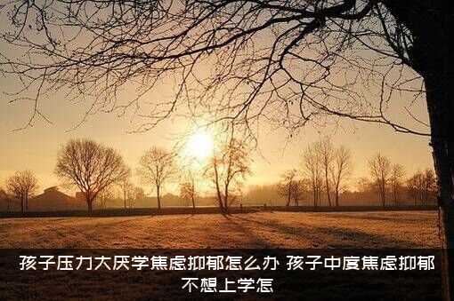 孩子压力大厌学焦虑抑郁怎么办？孩子中度焦虑抑郁不想上学怎？