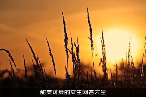 甜美可爱的女生网名大全