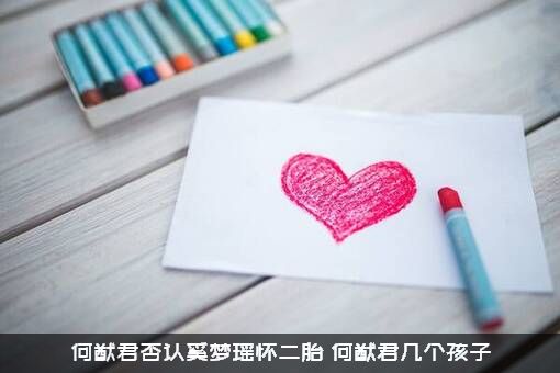 何猷君否认奚梦瑶怀二胎，何猷君几个孩子？