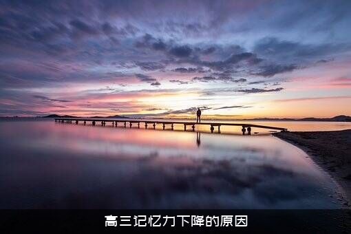高三记忆力下降的原因