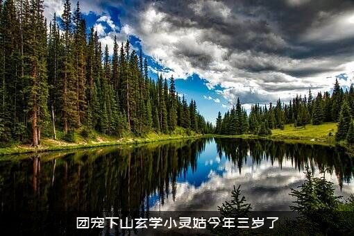 团宠下山玄学小灵姑今年三岁了