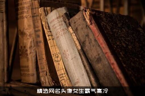 精选网名头像女生霸气高冷