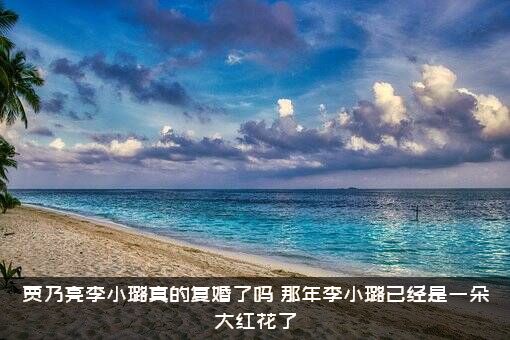 贾乃亮李小璐真的复婚了吗？那年李小璐已经是一朵大红花了？