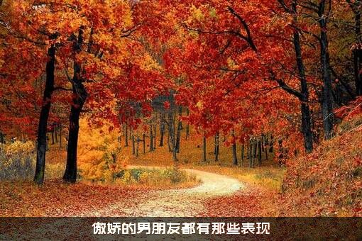 傲娇的男朋友都有那些表现？
