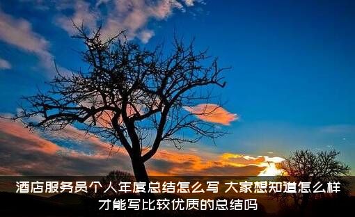 酒店服务员个人年度总结怎么写？大家想知道怎么样才能写比较优质的总结吗？