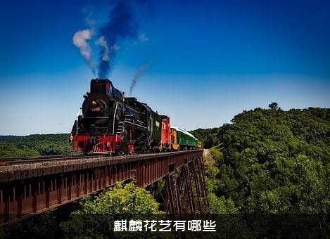 麒麟花艺有哪些？
