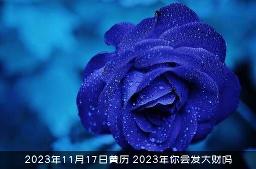 2023年11月17日黄历，2023年你会发大财吗？