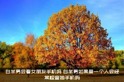 白羊男会看女朋友手机吗？白羊男如果爱一个人会经常检查她手机吗?？