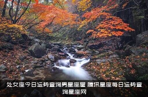 处女座今日运势查询男星座屋，腾讯星座每日运势查询星座网