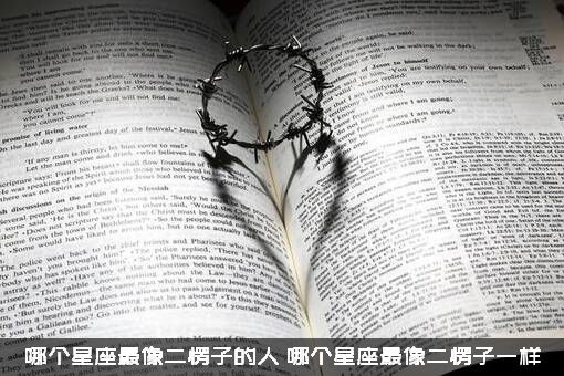哪个星座最像二愣子的人？哪个星座最像二愣子一样？