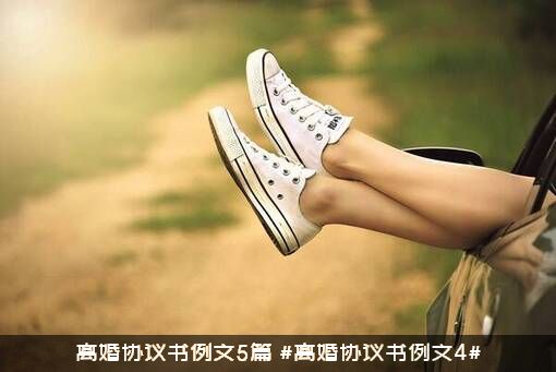 离婚协议书例文5篇（#离婚协议书例文4#）
