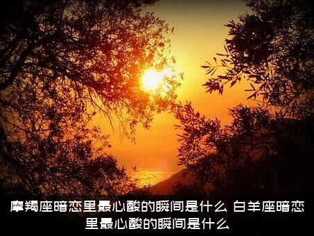 摩羯座暗恋里最心酸的瞬间是什么？白羊座暗恋里最心酸的瞬间是什么？